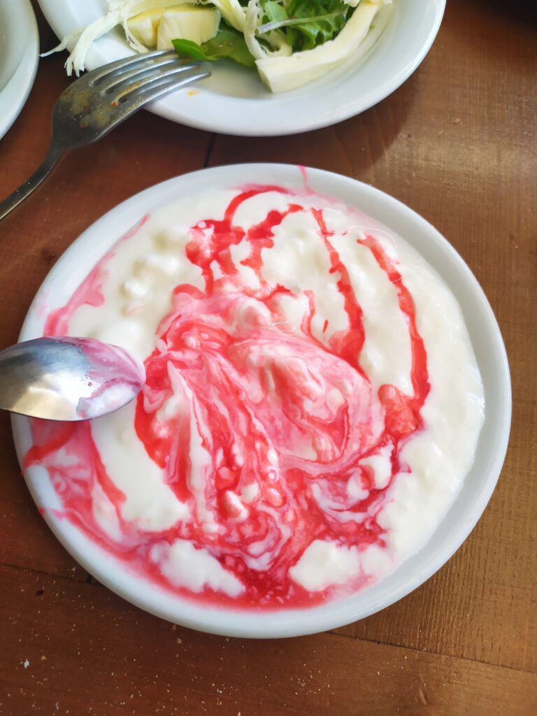 Yoğurtlu Şerbet